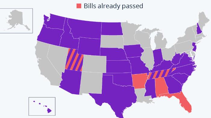 NextImg:All The States With Bills Aiming To Outlaw Gender-Reaffirming Care For Minors
