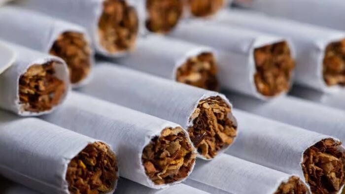 NextImg:The AMA Said 'Trust Your Doctor' On Smoking