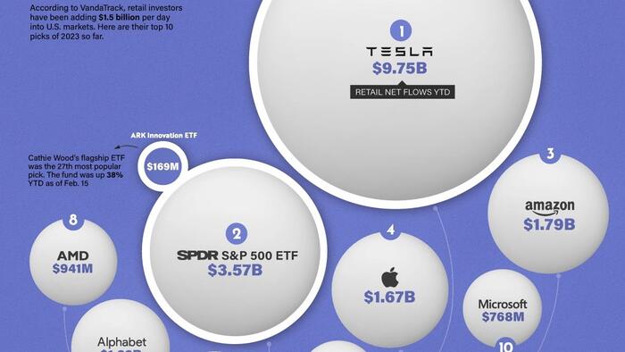NextImg:Retail Investors' Most Popular Stocks Of 2023 So Far