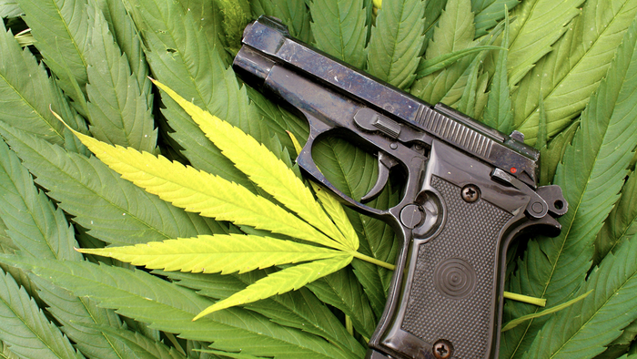NextImg:US Ban On Pot Users Owning Guns Ruled Unconstitutional