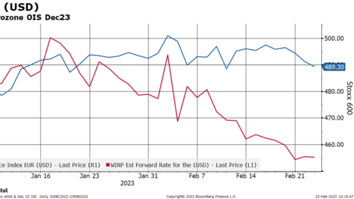NextImg:European Markets Grapple with Nagging Reality