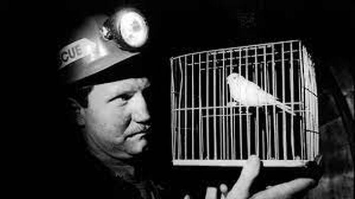 NextImg:The US Housing Recession Is The Canary In The Coal Mine