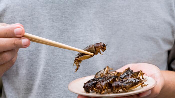 NextImg:Will We Eat Bugs? A French Biotech Firm Thinks So