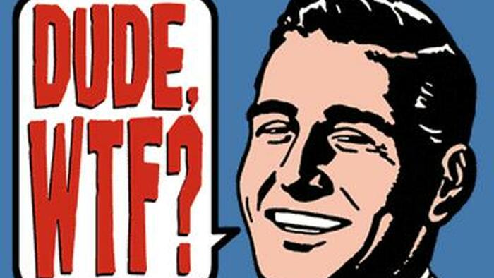 NextImg:Watch: 14 Videos That Will Make You Want To Scream Out "Are You Kidding Me?"