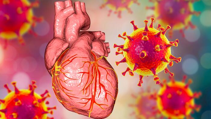NextImg:Mainstream Media Continues To Push False 'COVID Heart' Narrative To Explain Excess Deaths 