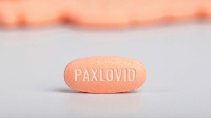 NextImg:9 Things You Need To Know About Paxlovid