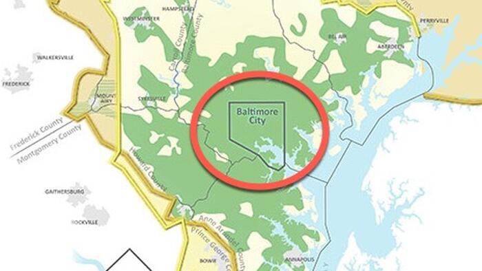 NextImg:Neo-Nazi Couple Arrested For Alleged Plot To 'Completely Destroy' Baltimore