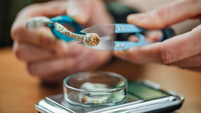 NextImg:Australia Becomes 1st Country To Legalize Therapeutic Use Of MDMA & Psilocybin