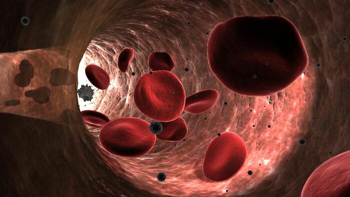 NextImg:Breakthrough In Blood Revitalization Could 'Delay Aging' According To Columbia University Researchers