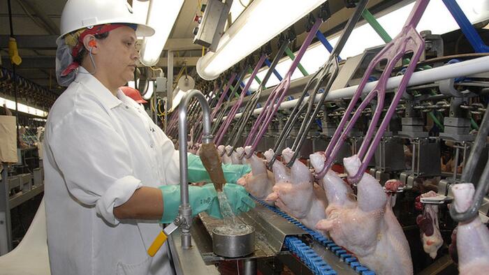 NextImg:And Now Food Deflation? US Food Giant Tyson Tumbles On Falling Beef, Chicken Prices, Sliding Pork Demand