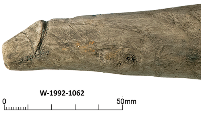 NextImg:First 2,000-Year-Old Roman Wooden Phallus 'Used For Pleasure' Found
