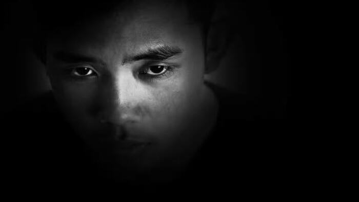 NextImg:A Contagion Of Cowardice