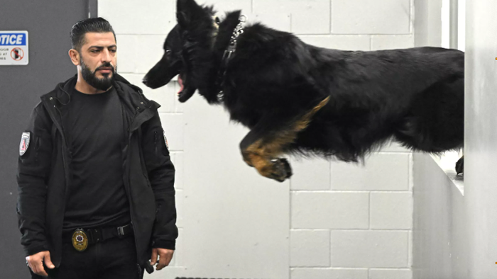 NextImg:LA Elites Spend $150,000 For Protection Dogs As Crime Fears Worsen
