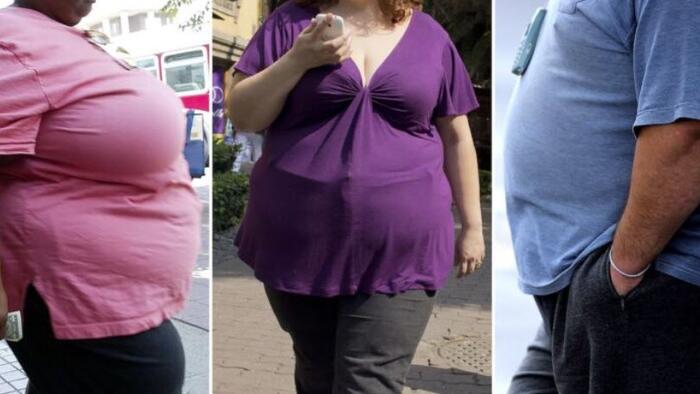 NextImg:More Than Half Of Global Population Overweight Or Obese By 2035: Report