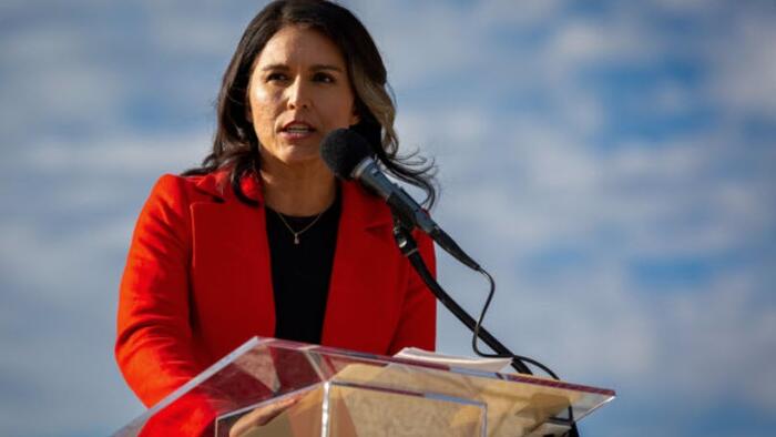 NextImg:Tulsi Gabbard: Democrats Are The Party Of Division, Authoritarianism, & War