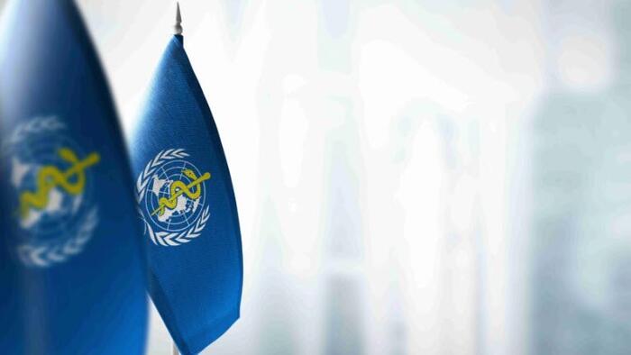 NextImg:New WHO Amendments Creating A Global Regime In The Name Of Health