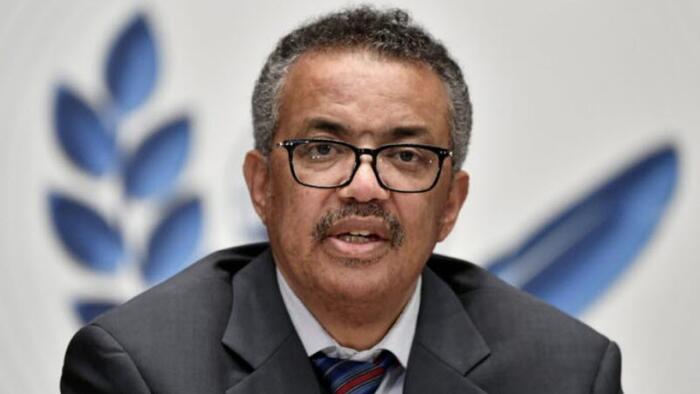 NextImg:WHO Chief Says Quest For COVID Origins Remains "Morally Imperative"
