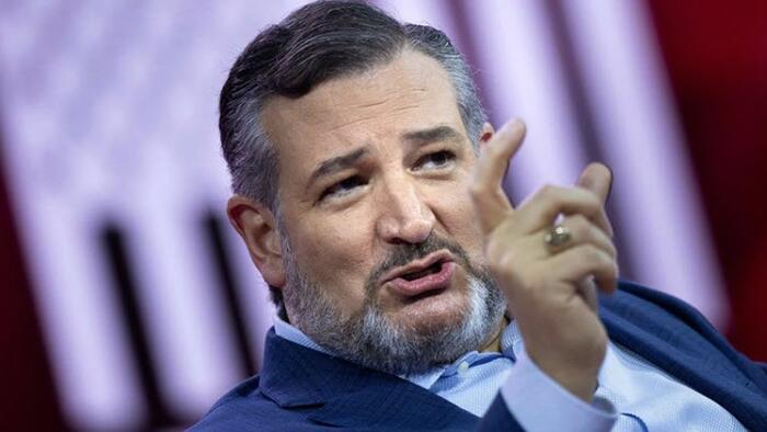 NextImg:Ted Cruz Blasts Biden For Bailouts Of Corrupt 'Bonnie And Clyde' Banks