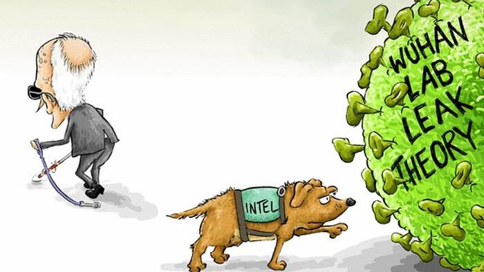 NextImg:Biden Signs Bill To Declassify COVID Origins Intel