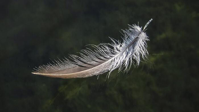 NextImg:How The 'Inside Of The Stock Market' Quashed The Soft Landing Narrative