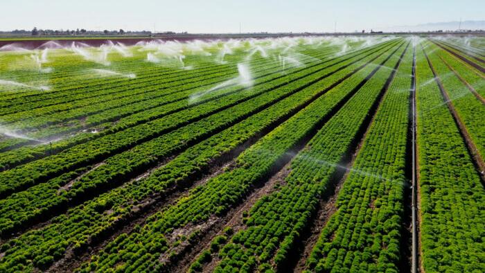 NextImg:Bipartisan Senators Push To Ban China From Buying US Farmland