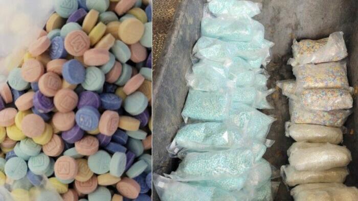 NextImg:"More Dangerous Than Ever": Experts Warn Americans Against Going To Mexico To Buy Cheap Pharmacy Drugs