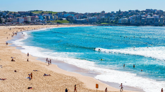 NextImg:Rookie Traders "Down Under" On Sydney's Beaches Are Earning As Much As $400,000 Straight Out Of School