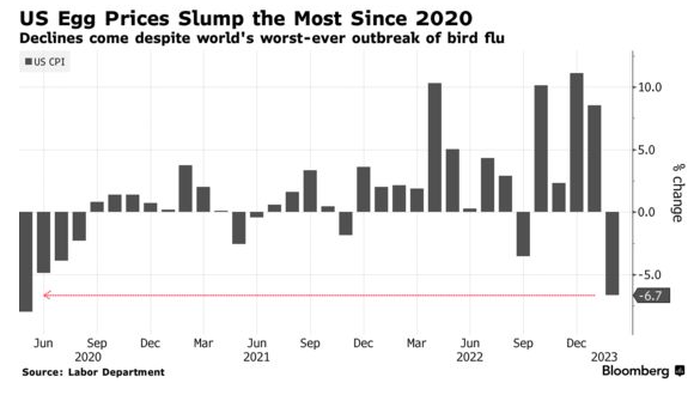 NextImg:Egg Prices Finally Fall After Months Of Non-Stop Price Spikes