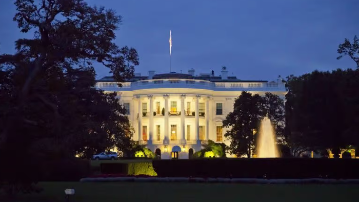 NextImg:How They Convinced Trump To Lock Down