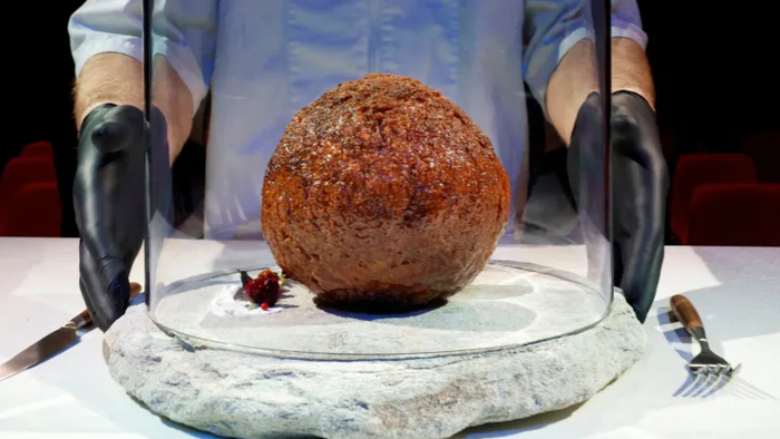 Extinct Wooly Mammoth Meatball Made In Lab - Vimarsana News