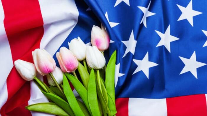 NextImg:The Death Of Patriotism