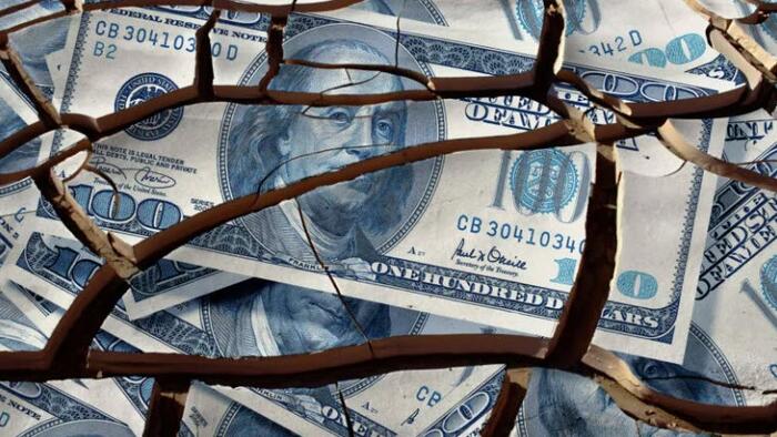 NextImg:De-Dollarization Has Begun