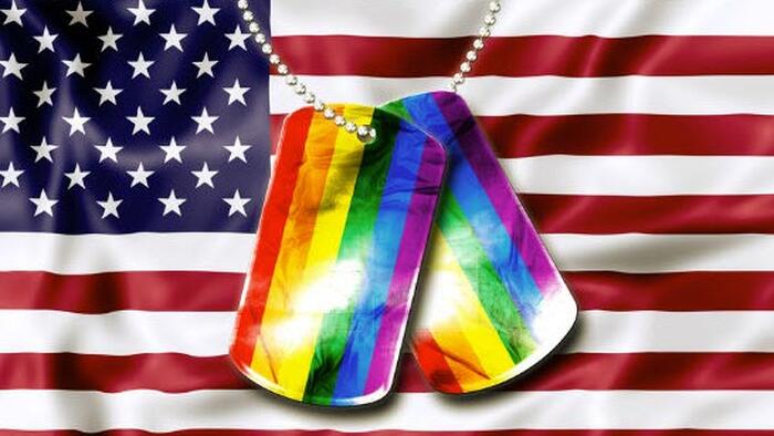 NextImg:DoD Official Testifies That The Military Must Be A 'Safe Space' For The Non-Binary