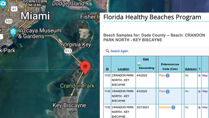 NextImg:Miami-Area Beach Full Of Feces, Officials Warn Public Against Swimming