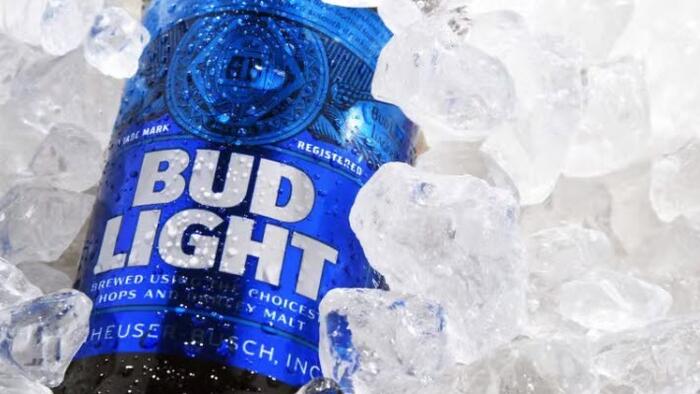 NextImg:What The Bud Light Fiasco Reveals About The Ruling Class
