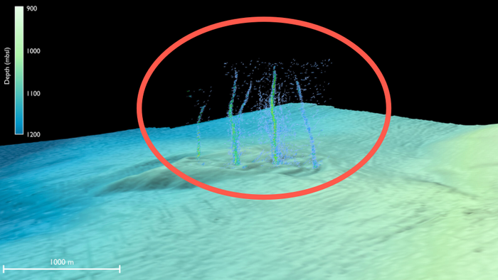 NextImg:"Newly Discovered Seafloor Seep" Off Oregon Coast On Fault Line May Be Harbinger To Major Quake