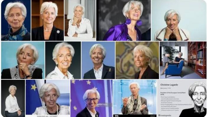 NextImg:Mish: As Amazing As It Sounds, ECB President Christine Lagarde Is Making Some Sense