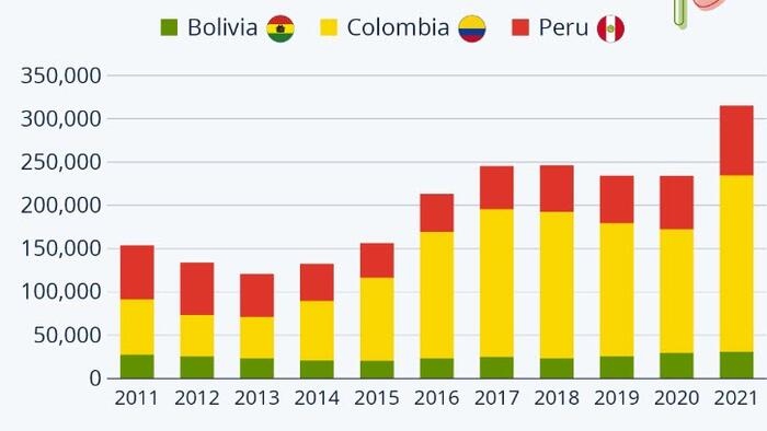 NextImg:Cocaine Cultivation Reaches New High In 2021
