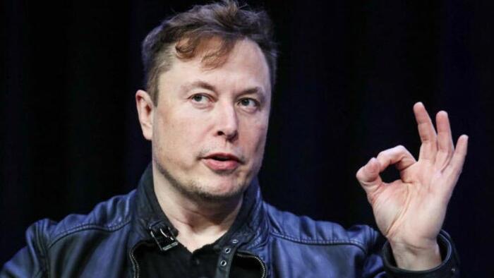 NextImg:Musk Slams DNC's "Backroom Dealing" As Committee Remains Silent On Primary Debates