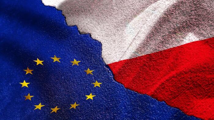NextImg:Poland Vs EU: New Survey Shows Poles Reject Cashless Society, Ban On Combustion Engines, & Restrictions On Meat Sales