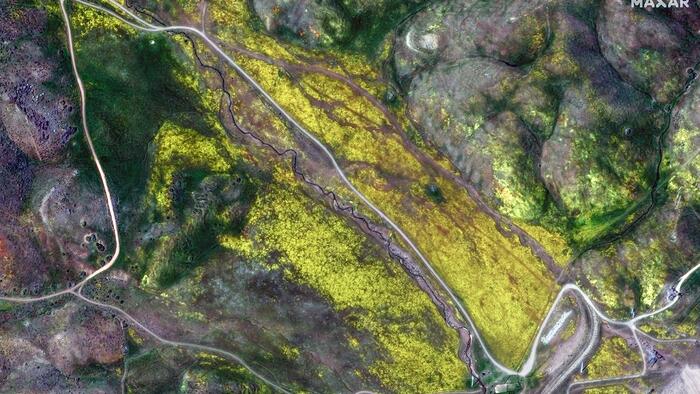 NextImg:Stunning Satellite Images Show Rare "Superbloom" Blanketing California's Hillsides