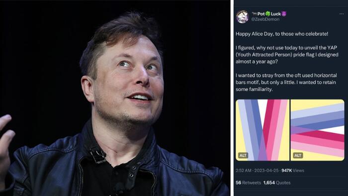 NextImg:Elon Musk Nukes Account That Tweeted Pedophilia 'Pride Flag'