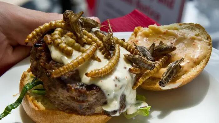 NextImg:New York Mayor Goes To War Against Meat And Dairy As Climate Agenda Escalates