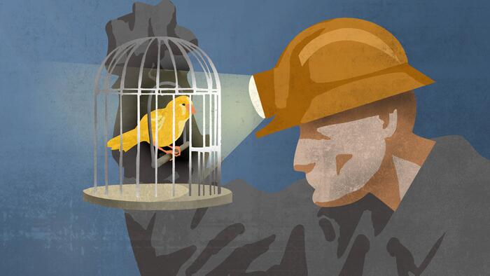 NextImg:"The Other Canaries In The Coal Mine Just Haven't Shown Up Yet"