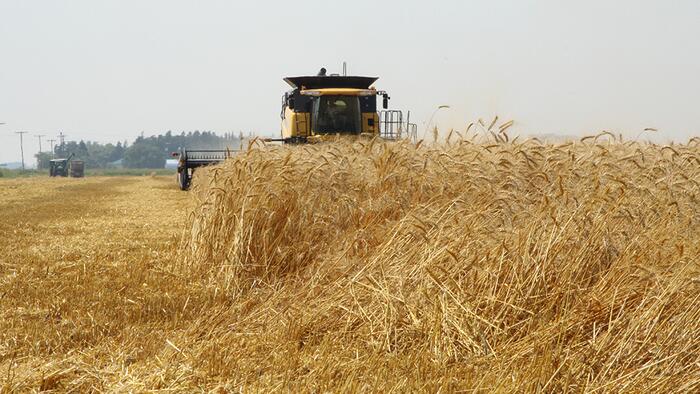 NextImg:Wheat Spread Hits Record As Drought Plagues Midwest