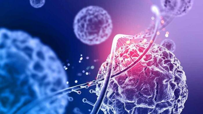 NextImg:MIT Scientists Create New Nanoparticle Sensors To Detect Early Cancer Via Simple Paper Test
