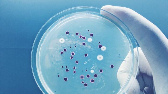 NextImg:The E. Coli Super-Pathogens You Should Know About
