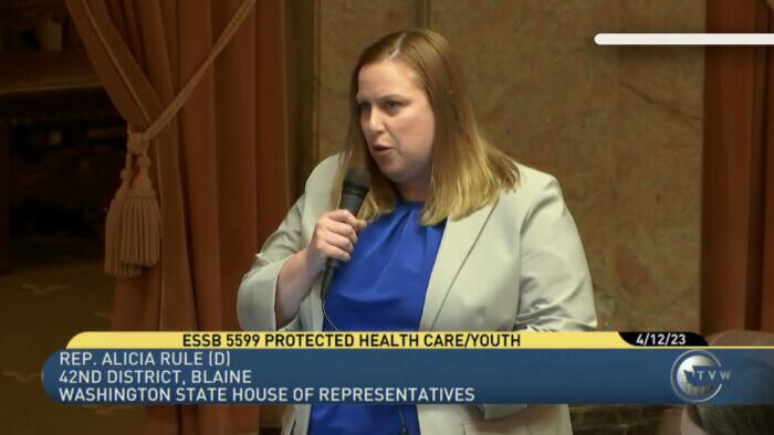 NextImg:Washington State House Approves Bill Authorizing Hiding Of Children Seeking Transgender Medical Intervention From Parents