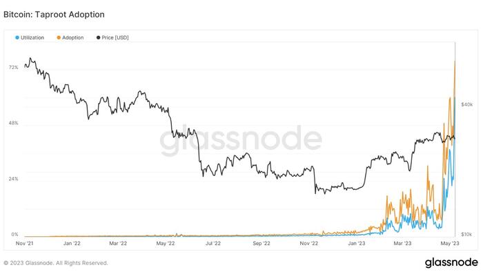 "Bitcoin Is Not Under Attack" - BTC Maxis Allay Fears Of A DoS Offensive - Vimarsana News