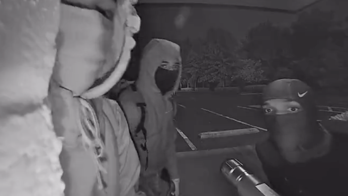 NextImg:Alarming Surge In Gun Shop Robberies As Democrats Fail To Enforce Law And Order